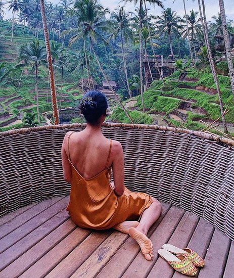 अलिजेह के कई दोस्त भी हैं जो वेकेशन पर उनके साथ एंजॉय करते नजर आते हैं।