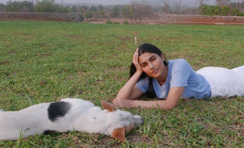 कई स्टारकिड्स बॉलीवुड में डेब्यू (Star Kids Debut) करके अच्छा नाम कमा चुके हैं तो कई जल्द ही डेब्यू करने वाले हैं। इस लिस्ट में सलमान खान (Salman Khan) की भांजी अलिजेह अग्निहोत्री (Alizeh Agnihotri) का भी नाम है। वह सलमान खान बैनर की फिल्म से ही डेब्यू करेंगी लेकिन फिल्म काम नाम या समय की जानकारी नहीं है। 