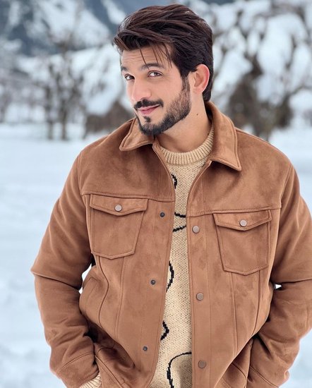 खतरों के खिलाड़ी 11 के विनर और कई टीवी शो में काम कर चुके अर्जुन बिजलानी की वाइन शॉप्स हैं। साथ ही बॉक्स क्रिकेट लीग में उनकी एक टीम भी है।  