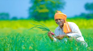 Chattisgarh Farmers | PM Kisan Yojana| Bhupesh Baghel