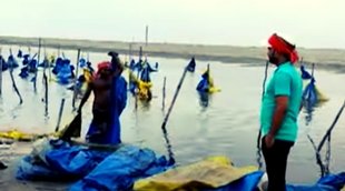 Chhapara Ganga, Bihar News