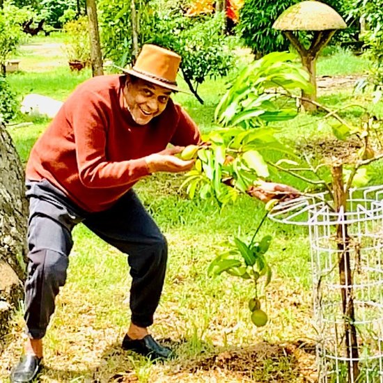 धर्मेंद्र (Dharmendra) अक्सर अपने फार्म हाउस में खेती करते हुए फोटो और वीडियो शेयर करते रहते हैं और लोगों को फार्मिंग के फायदे बताते रहते हैं। (Photo: Dharmendra Instagram)