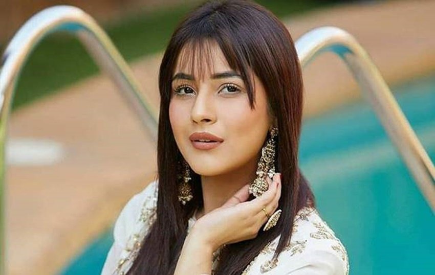 शहनाज गिल बिग बॉस 15 में नजर आई थीं। तबसे वह टीवी से दूर हैं। फैंस उन्हें जल्द छोटे पर्दे पर देखना चाहते हैं।