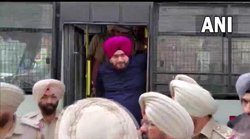 जेल में तबियत बड़े जल्दी बिगड़ जाती है- नवजोत सिंह सिद्धू जेल में हुए बीमार तो सोशल मीडिया ऐसे कमेंट करने लगे लोग