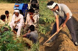 Actors in farm, pankaj tripathi farming