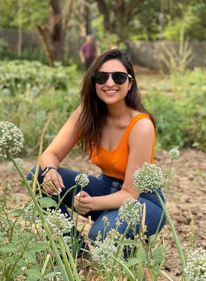 परिणीति चोपड़ा ने एक नहीं बल्कि ट्रिपल ऑनर्स डिग्री ली है। उन्होंने फाइनेंस, बिजनेस और इकोनॉमी की पढ़ाई की है। 