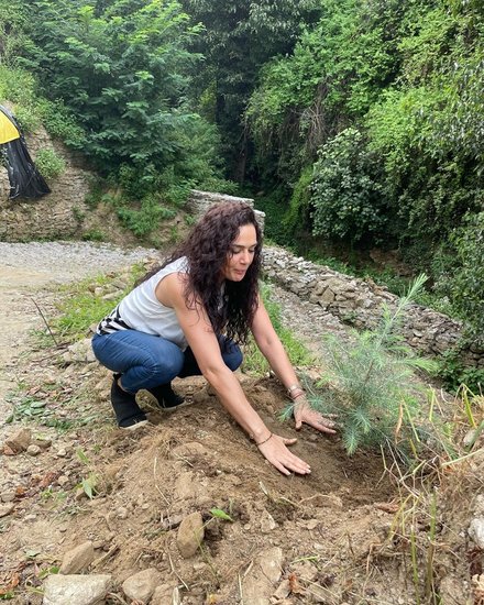 प्रीति जिंटा (Preity Zinta) को भी कई बार पेड़-पौधे व सब्जियां उगाते हुए देखा गया है। वह सोशल मीडिया के जरिए इसकी जानकारी भी देती रहती हैं।&nbsp;(Photo: Preity Zinta Instagram)