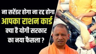 Yogi Government