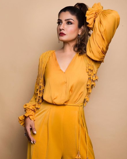 इस पर रवीना ने पत्रकार को जवाब दिया कि मेरा मोटापा तो घट जाएगा लेकिन आपकी सूरत कैसे बदल पाएगी?