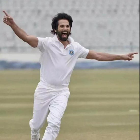 इन फिल्मों से पहले इस साल शाहिद कपूर की फिल्म 'जर्सी' रिलीज हो चुकी है जो इसी नाम की तेलुगु फिल्म की रीमेक है लेकिन शाहिद की यह फिल्म फ्लॉप साबित हुई और इसने महज 19 करोड़ के करीब ही बिजनेस किया। 