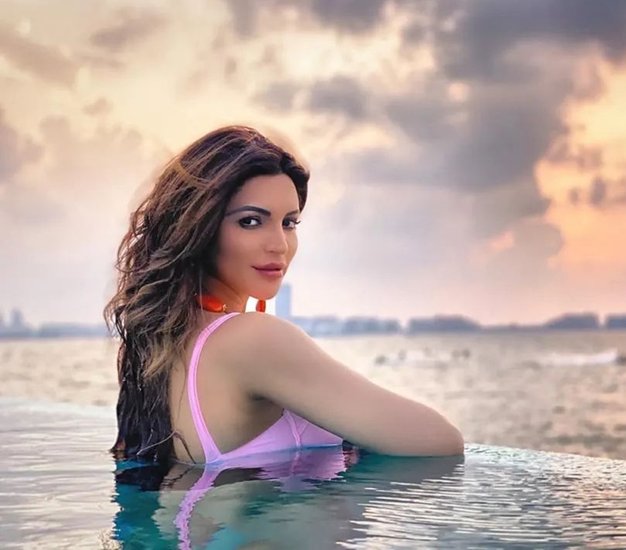 टीवी एक्ट्रेस शमा सिकंदर बाइपोलर डिसऑर्डर से जूझ चुकी हैं। साथ ही वह डिप्रेशन में भी चली गई थीं। हालांकि अब वह पूरी तरह रिकवर हो चुकी हैं। (All Photos: Social Media)