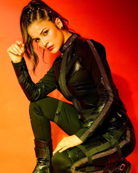 शहनाज़ की यह लुक भी उनके फैंस को काफी पसंद आई थी।&nbsp;