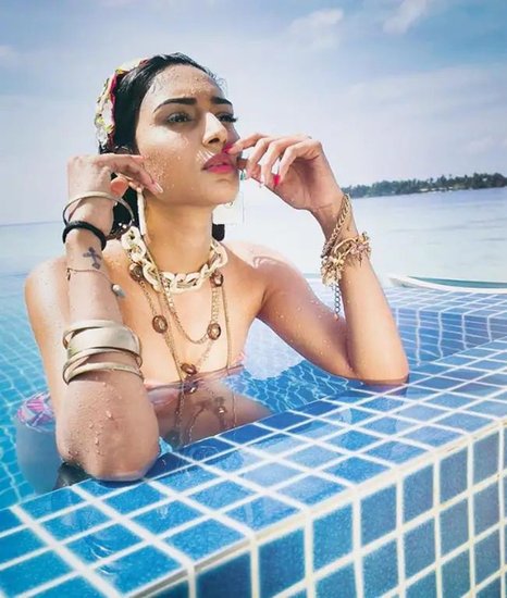 एरिका फर्नांडीज 'बुगुरी', 'निन्नीडाले' और 'बब्लू हैप्पी है' जैसी साउथ की चर्चित फिल्मों में नजर आ चुकी हैं। 