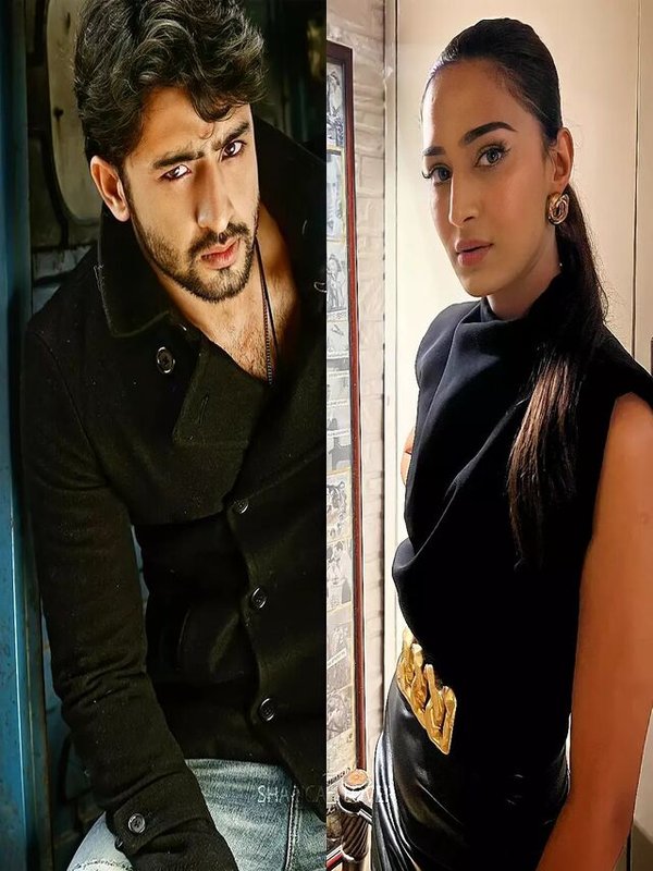 TV STARS WHO LOST THEIR CHARM DUE TO POOR SCRIPT