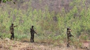 chhatisgarh| bastar| raipur|