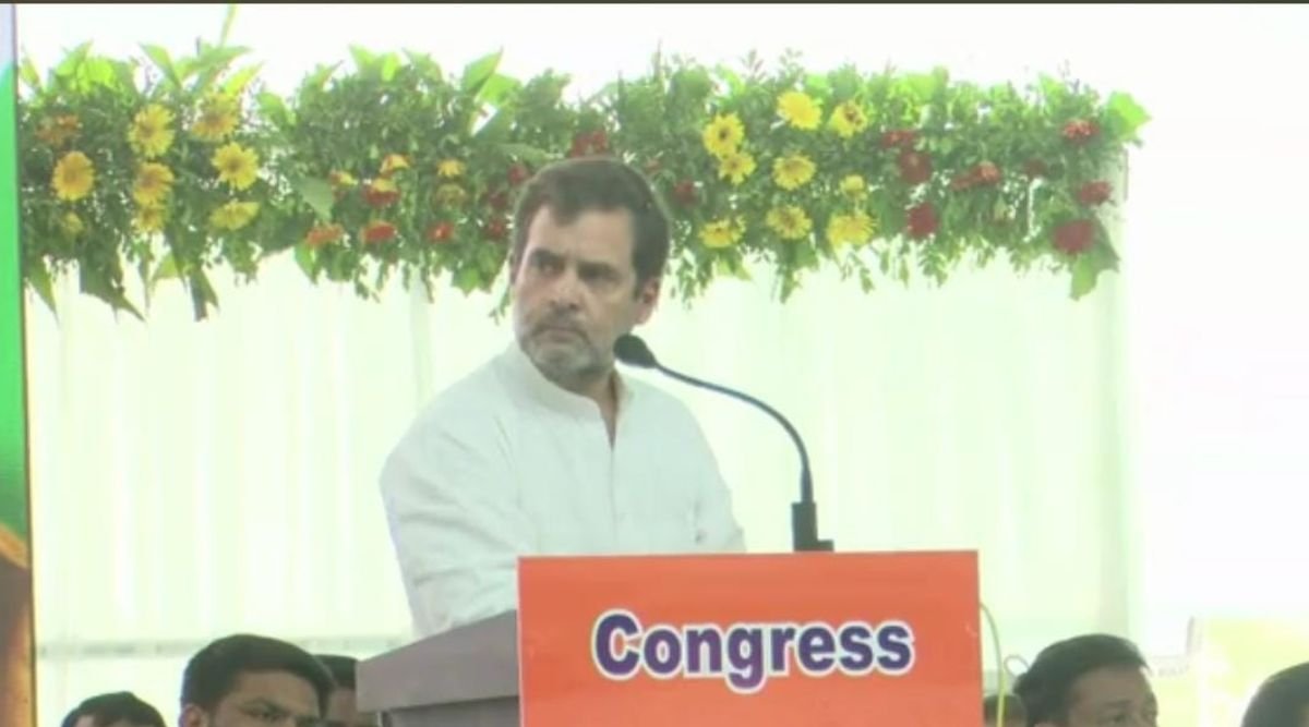 Rahul Gandhi| congress| gujarat|