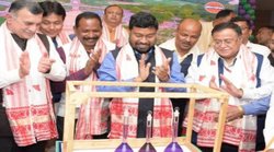 Methanol Blended M 15 Petrol Launch: केंद्रीय मंत्री रामेश्वर तेली उद्घाटन कर रहे थे, पीछे स्‍क्रीन पर चल गई अश्‍लील क्लिप