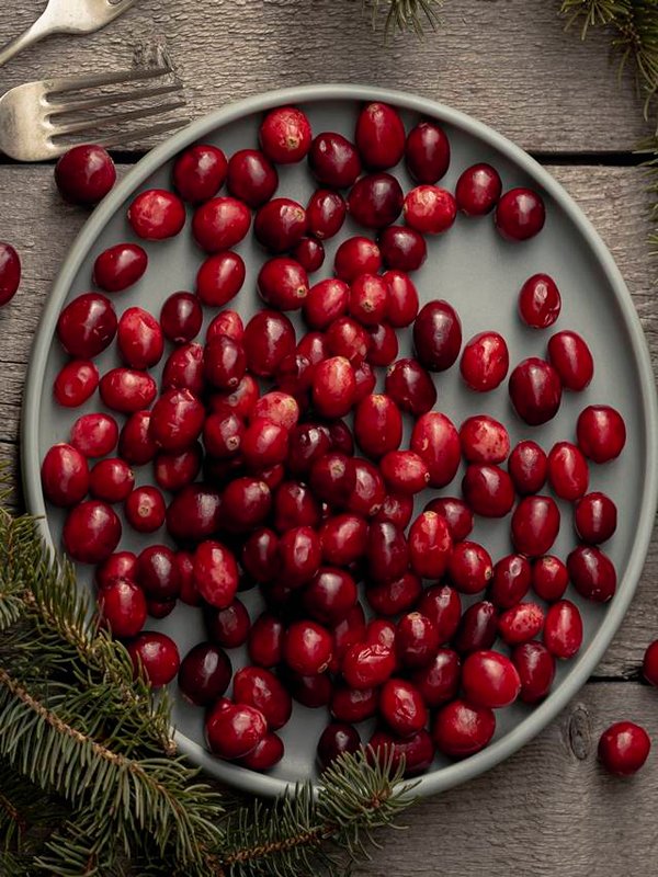 flat-lay-plate-cranberries-with-pine-forks