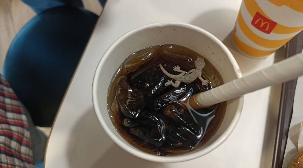Gujarat | Ahmedabad | McDonalds