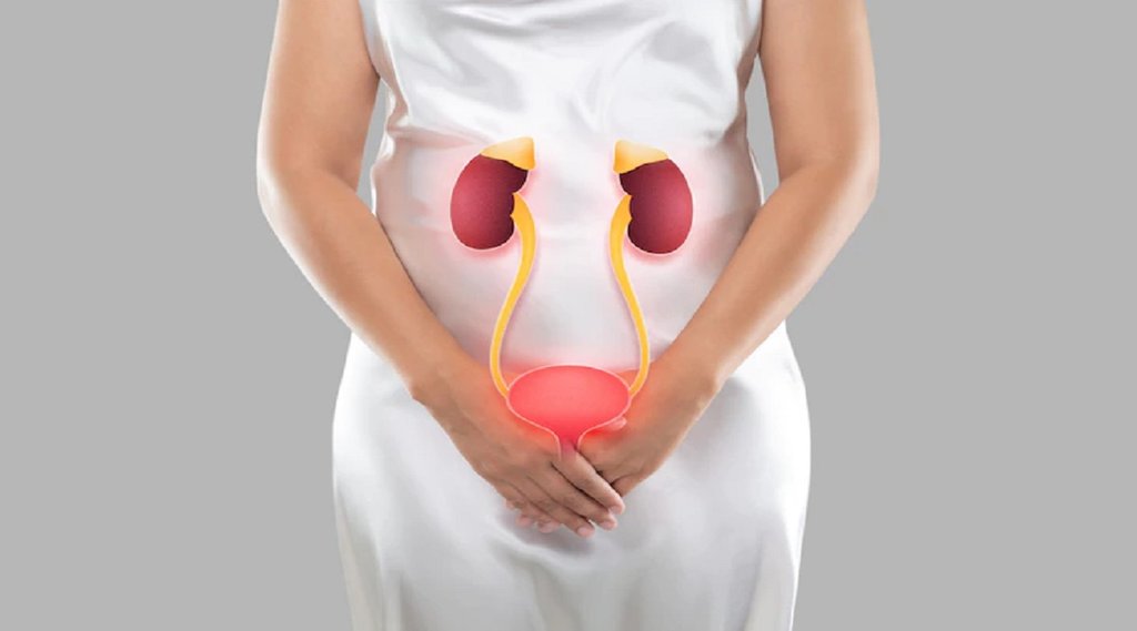 Kidney | Kidney Cure | Kidney Cancer