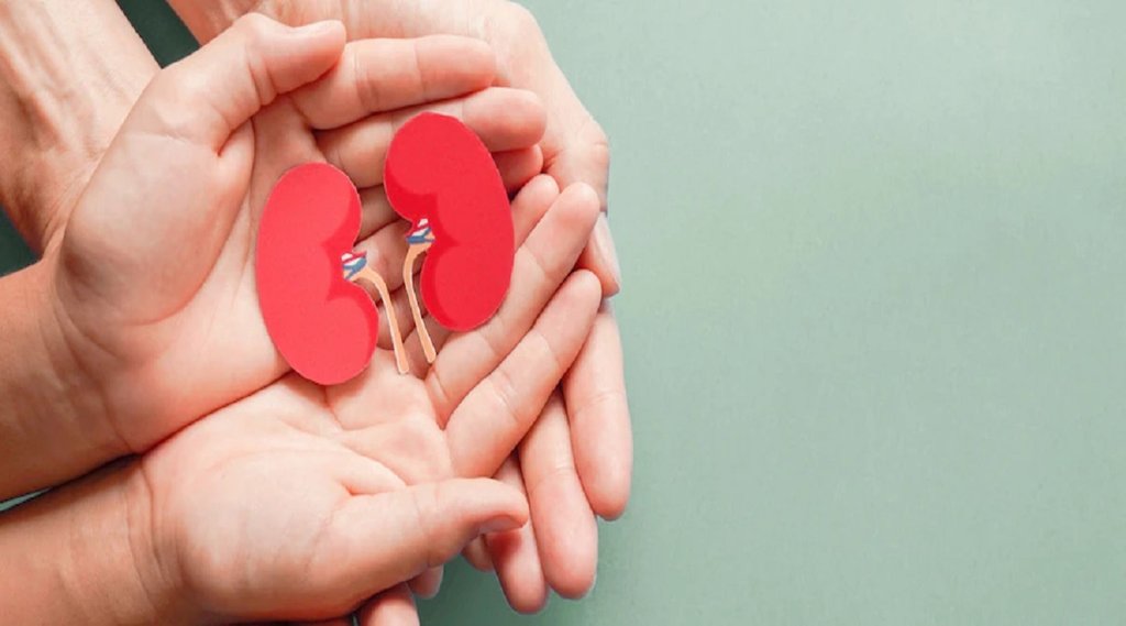 kidney cure, foods for kidney health, foods for kidney patients,fiber foods for kidney patients