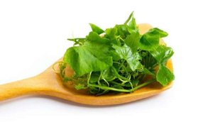 Diabetes Diet Tips, Vegetables leaves For Diabetics,