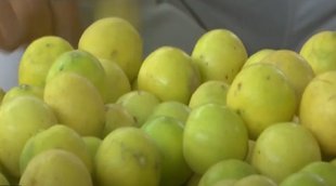 lemon