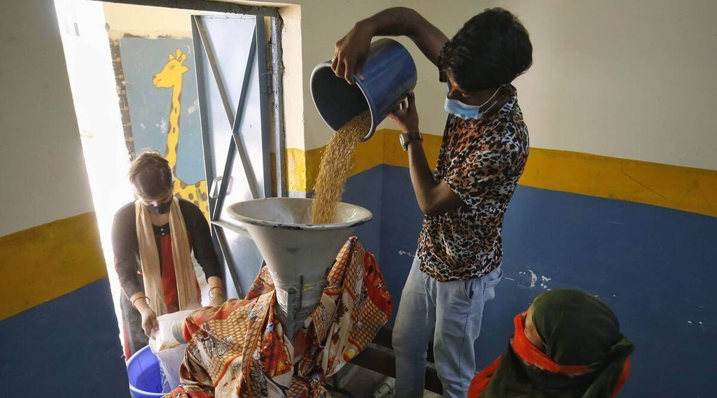 Wheat Flour Price | Explained | why Wheat Price Increase