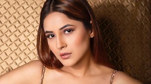 shehnaz gill, शहनाज गिल.