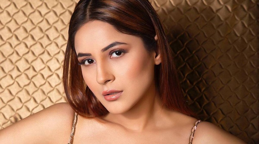 shehnaz gill, शहनाज गिल.