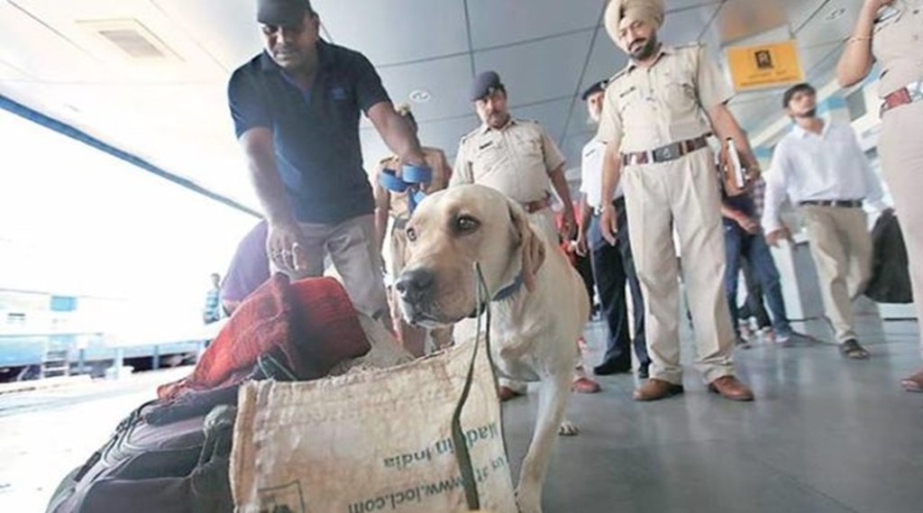 Sniffer Dogs, Bihar