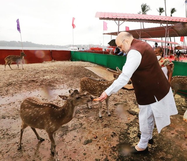 आजकल सोशल मीडिया सभी के लिए जरूरी हो गया है। फिर चाहे वह कोई स्टूडेंट हो, कोई एक्टर हो या कोई राजनेता। सोशल मीडिया प्लेटफॉर्म इंस्टाग्राम का इस्तेमाल तो लगभग सभी करते हैं। देश के कई बड़े राजनेता भी इंस्टाग्राम (Politicians on Instagram) का इस्तेमाल करते हैं। हालांकि यह फॉलो सिर्फ कुछ चुनिंदा लोगों को ही करते हैं। देश के गृहमंत्री अमित शाह (Amit Shah) इंस्टाग्राम पर महज 3 लोगों को ही फॉलो करते हैं। इन तीन में एक प्रधानमंत्री नरेंद्र मोदी (PM Narendra Modi), गृहमंत्री कार्यालय और बीजेपी पार्टी (BJP) शामिल है। जबकि उनके फॉलोअर्स की संख्या 4.3 मिलियन है। (Photo: Amit Shah Instagram )