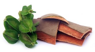 Health Benefits of Arjun Barks, how to drink arjun ki chaal,rajiv dixit