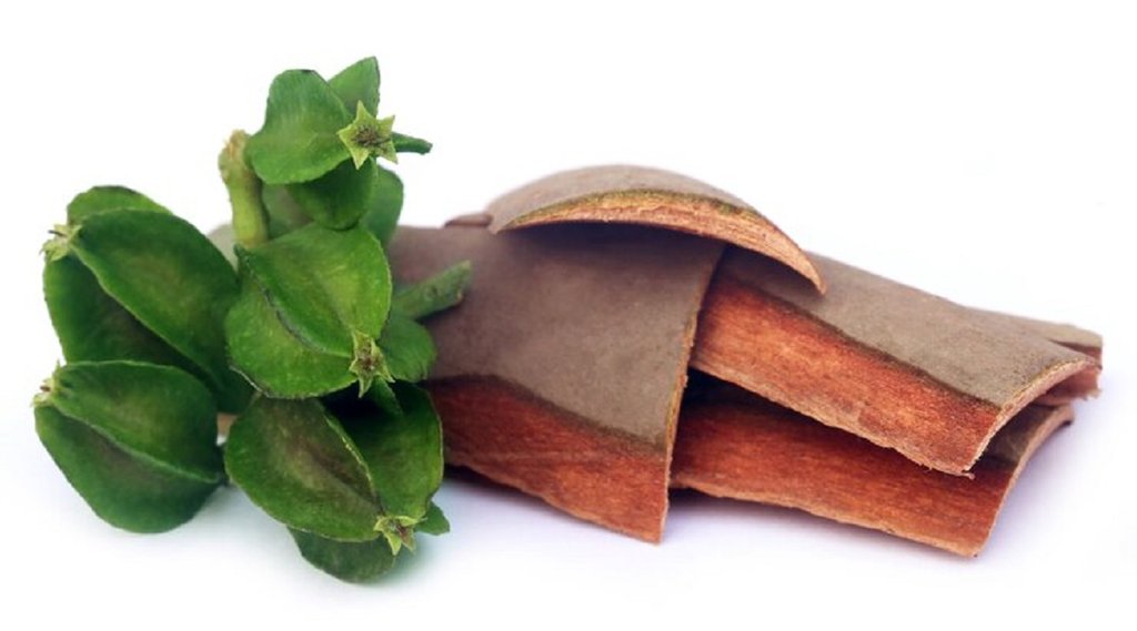 Health Benefits of Arjun Barks, how to drink arjun ki chaal,rajiv dixit