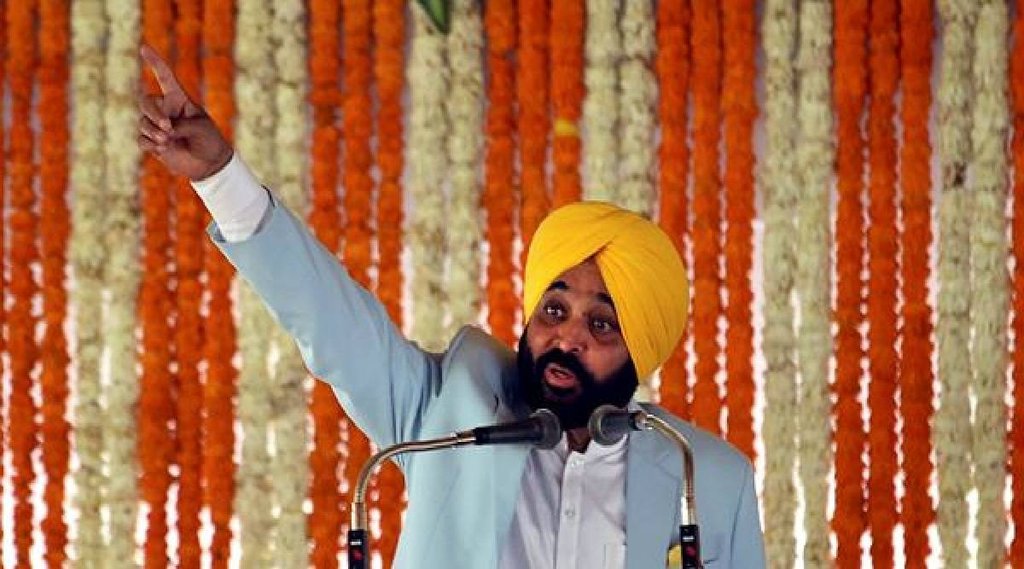 Punjab Bhagwant Mann | moong
