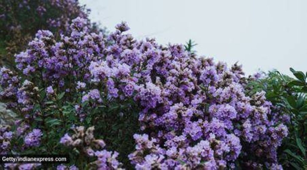 झुकने के संदर्भ झुकने के संदर्भ