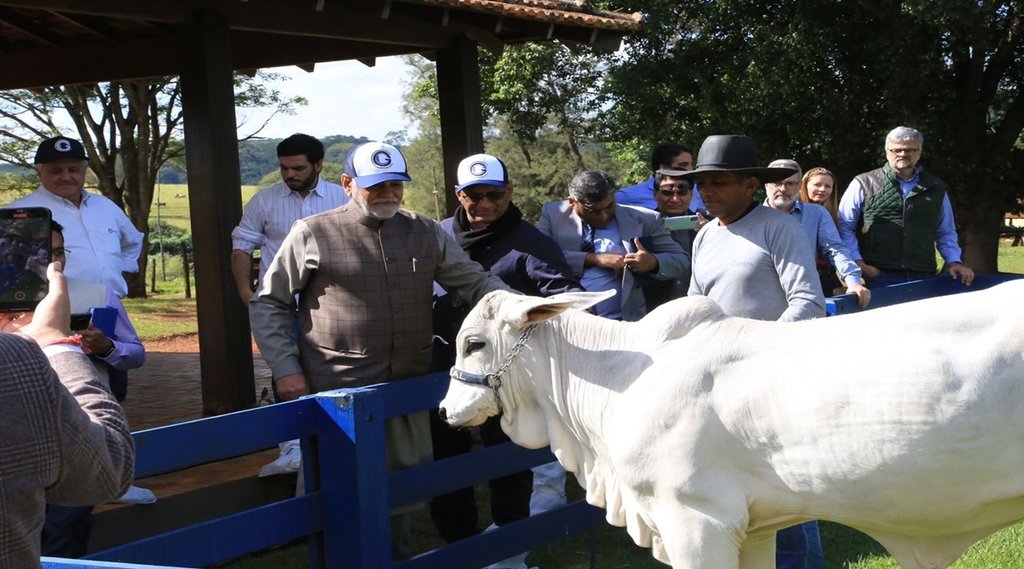 Cow worship, Cow saver, Cow dung