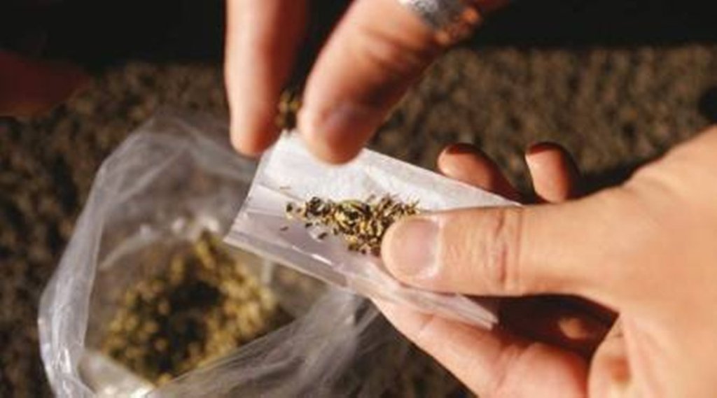 नशे का जाल