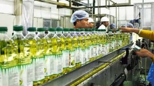 Edible Oil | Sunflower Oil | OIl News | Business