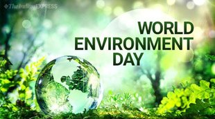 World Environment Day, Blog
