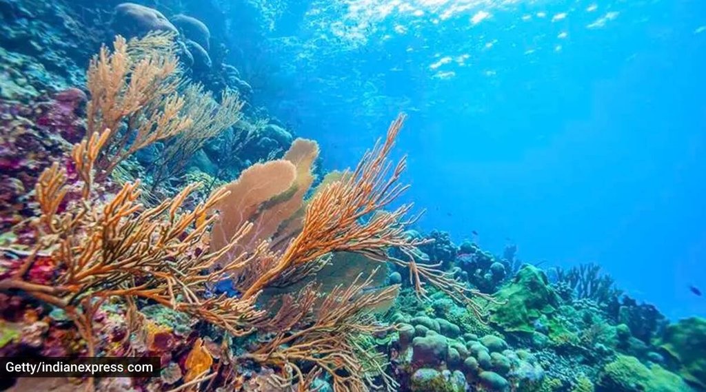 World Environment Day, Blog