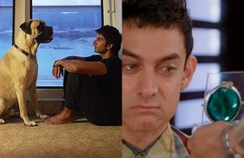 Amir Khan Movies, Forest Gump Remake Lal Singh Chaddha