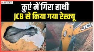 ramgarh,ramgarh latest news,ramgarh elephant video,ramgarh news,ramgarh news today,ramgar news,ramgarh ghati waterfall,ramgarh,ram mardi, jharkhand,elephant viral video,odisha elephant,jharkhand elephant