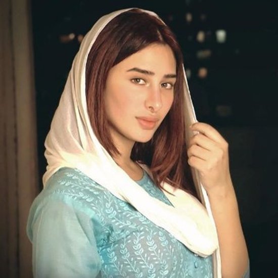 माहिरा शर्मा (Mahira Sharma) बिग बॉस से चर्चा में आई थीं। हालांकि वह कुछ टीवी सीरियल्स में नजर आ चुकी हैं। माहिरा ने हाल ही में एक इंटरव्यू में बताया कि वह पर्दे पर बोल्ड सीन नहीं करेंगी। उनका कहना है कि वह कोई ऐसा काम नहीं करना चाहती हैं जिन्हें वह अपने परिवार के साथ बैठ कर ना देख सकें। माहिरा ने बताया कि इसी कारण से उन्होंने ओटीटी पर कुछ वेब सीरीज के ऑफर ठुकराए भी। बता दें कि और भी कई एक्ट्रेसेस ऐसी हैं जिन्होंने किसी ना किसी कारण से वेब सीरीज (Web Series) के रोल्स को ठुकरा दिया था।