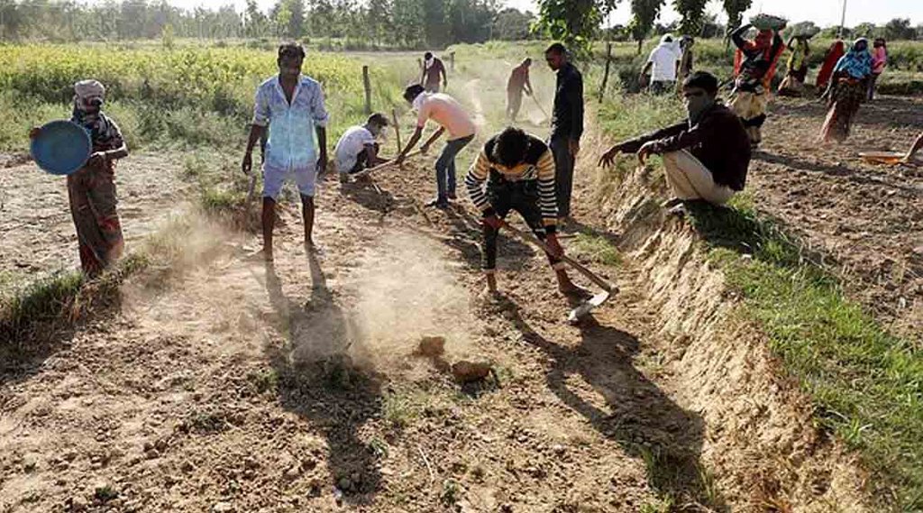 Manrega | Chhattisgarh| Bhupesh Baghel