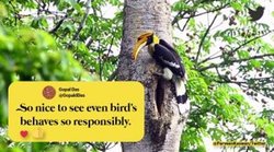 नवसृजन का निरंतर उत्सव