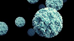 क्या है नोरोवायरस जिसका अब मंडरा रहा खतरा, केरल में मिले दो मामले; जानिए लक्षण और बचाव