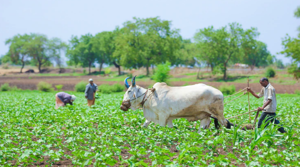 PM Kisan Yojana | Ekyc Update | 12th Installment of PM kisan Scheme