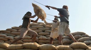 Rice Export | Food Secretory