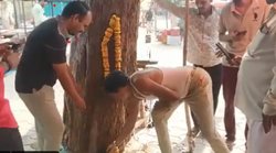 मध्य प्रदेश: शिवपुरी में पेड़ से निकलने लगी जलधारा, ‘जय हो गंगा मैया की’ बोलकर पूजा करने लगे लोग